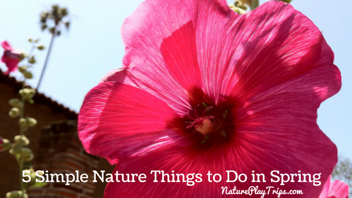 5 Simple Nature Things to Do in Spring