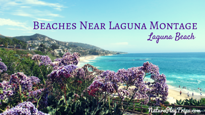 Beaches near Laguna Beach Montage