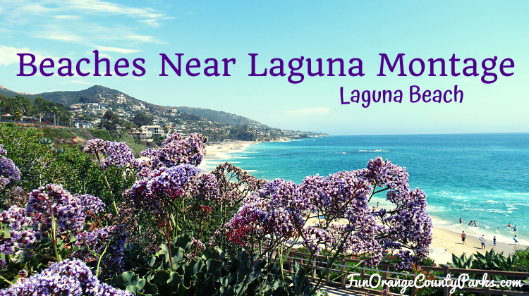 Beaches near Laguna Beach Montage Resort