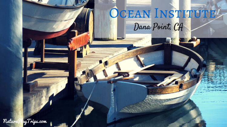 Ocean Institute: Local Nautical History and Marine Animals