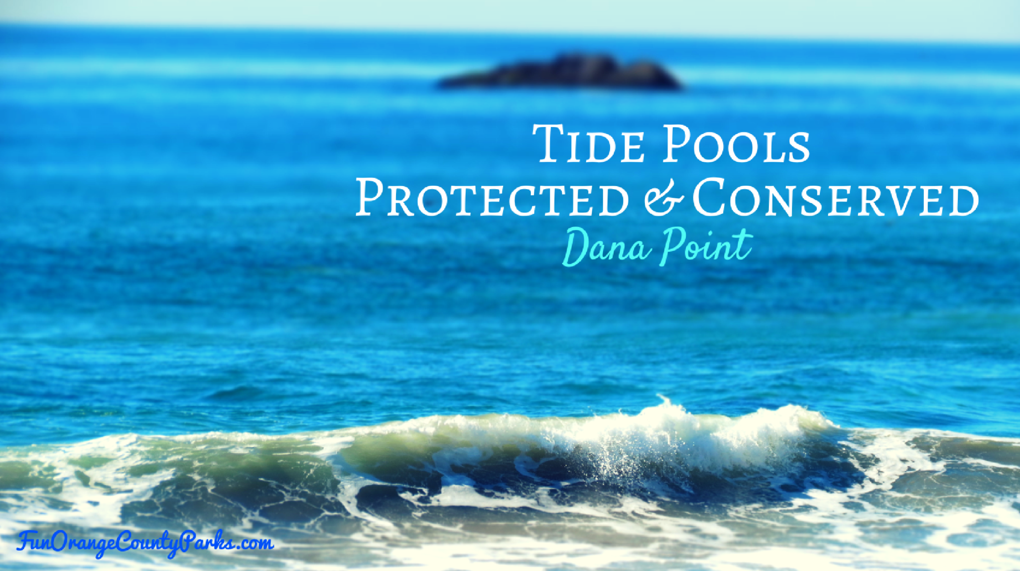 Dana Point Tide Pools Marine Protected Area (MPA) State Marine