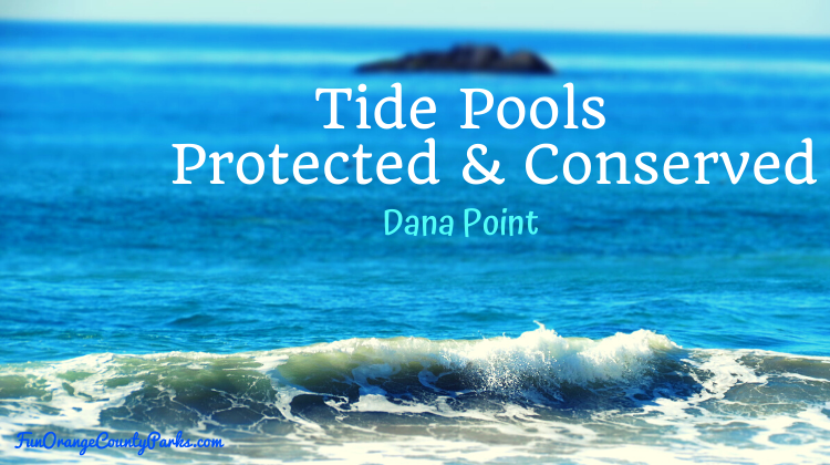 Dana Point Tide Pools