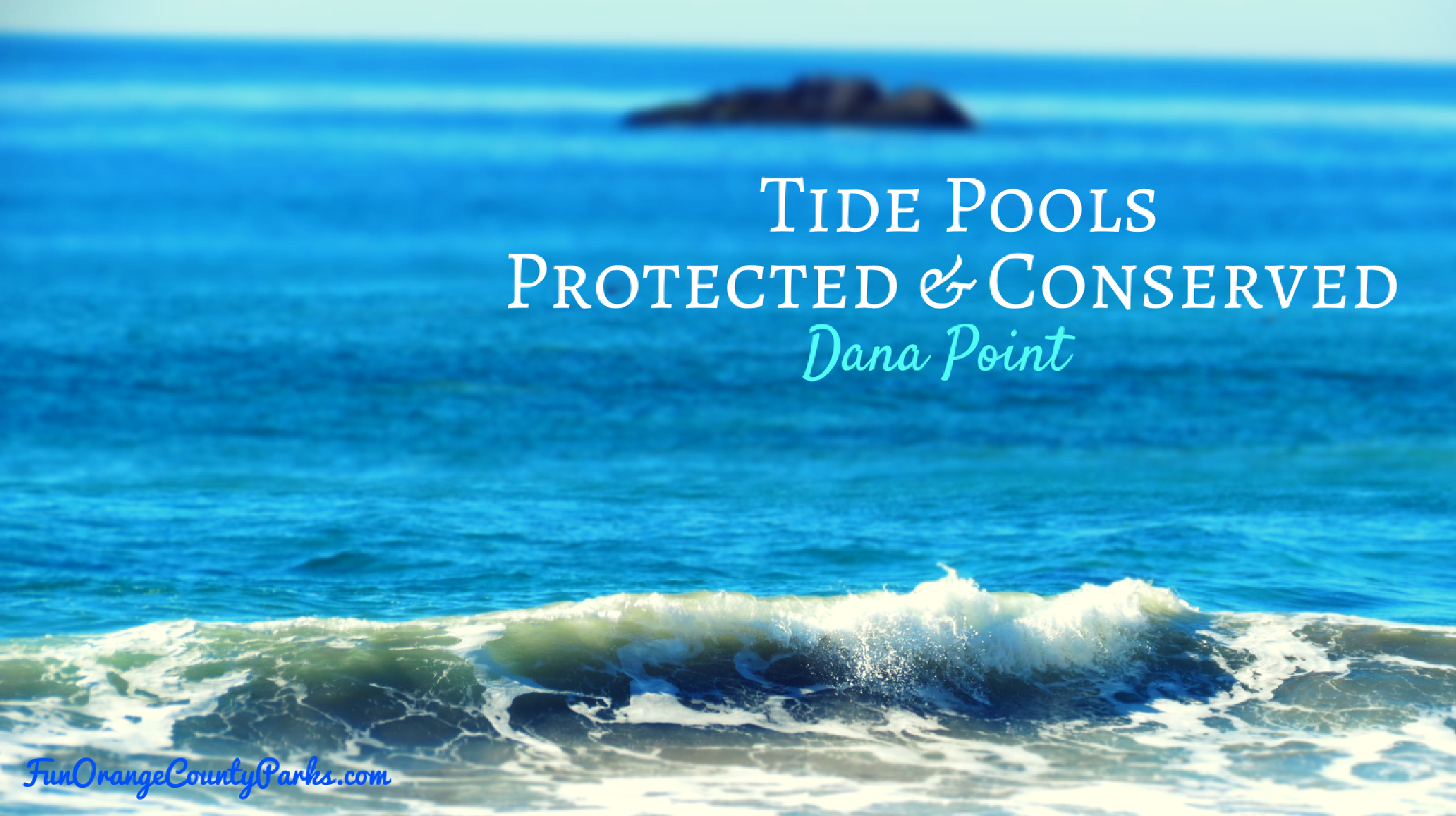 Dana Point Tide Pools: Marine Protected Area (MPA) – State Marine Conservation Area (SMCA)