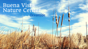 Buena Vista Nature Center & Audubon: Over the Bridges and Through the Reeds