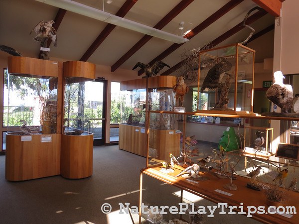 Buena Vista Nature Center Inside