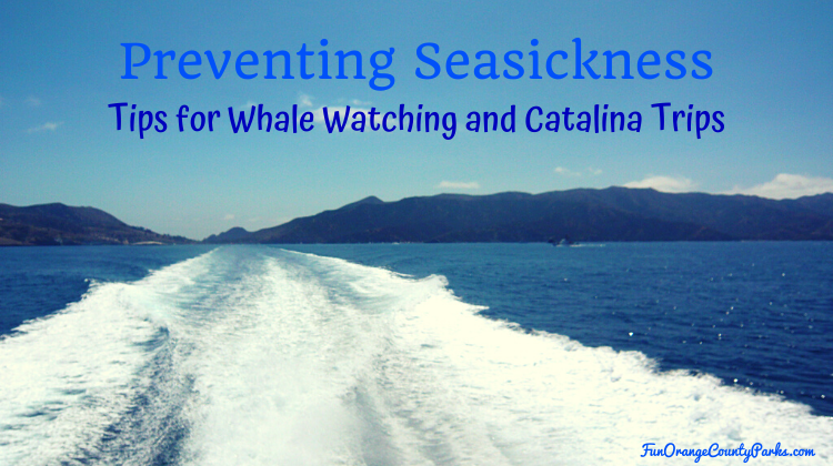 The Best Way to Cure Seasickness is Prevention: Tips for Whale Watching and Catalina Ferry Trips