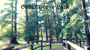 Cedar Grove Park in Tustin: Under the Troll Bridge and Through the Woods