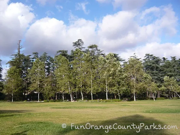 cedar grove park tustin tree area