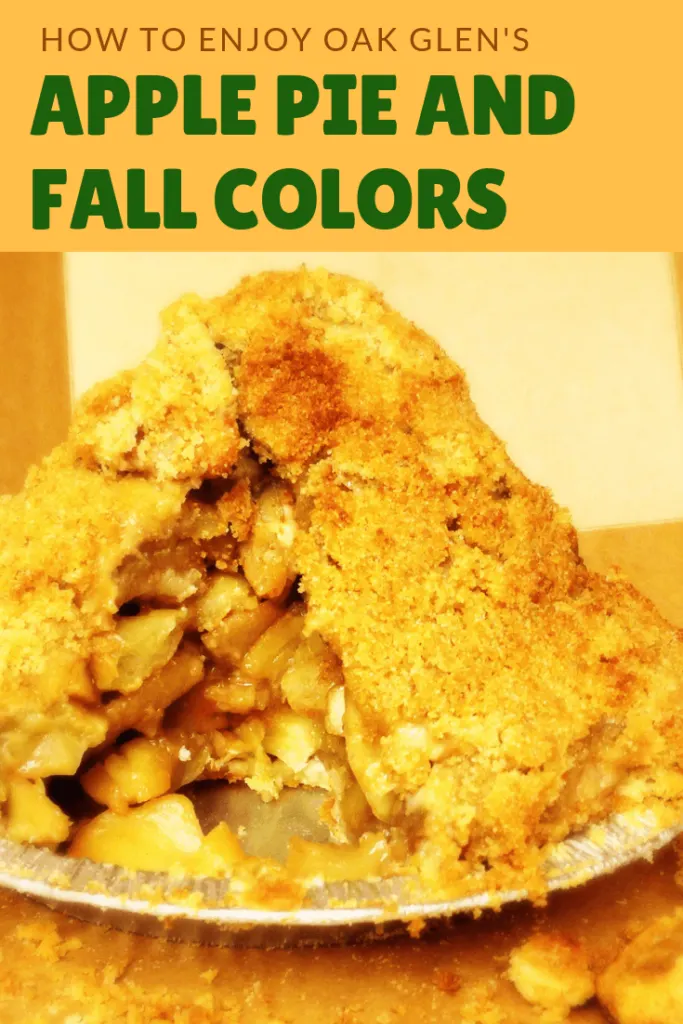 apple pie and fall colors pin