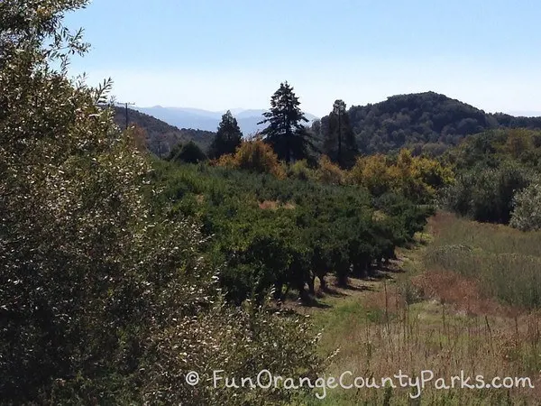 oak glen orchard views