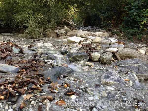 stream crossing at oak glen nature trail