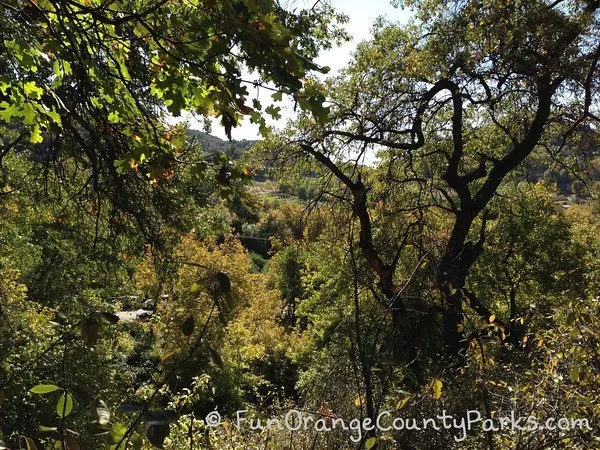 hike views from oak glen nature trail