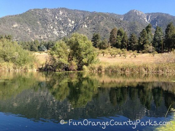 reflection pond at oak glen