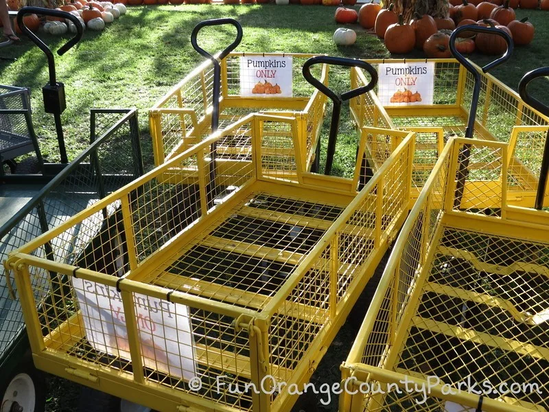 irvine park railroad pumpkin patch carts