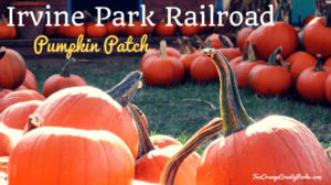 2024 Pumpkin Patch at Irvine Park Railroad