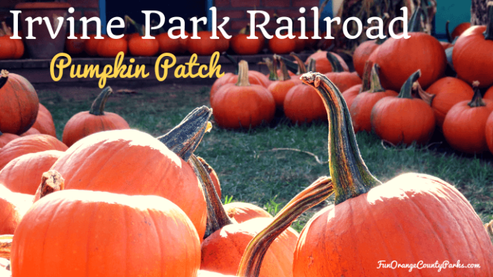 2023 Pumpkin Patch at Irvine Park Railroad