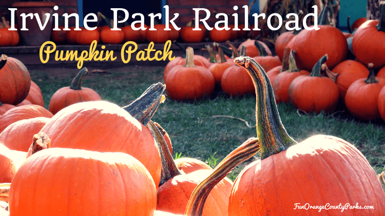 irvine train station pumpkin patch