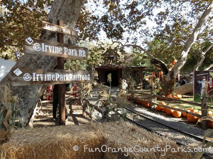 2022 Pumpkin Patch at Irvine Park Railroad