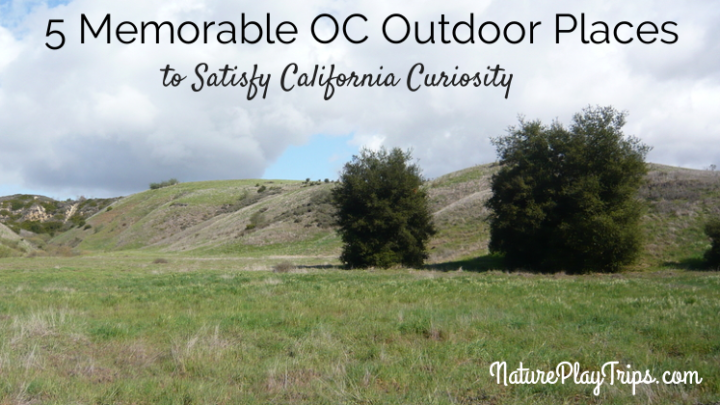 5 Memorable Outdoor Places to Satisfy California Curiosity