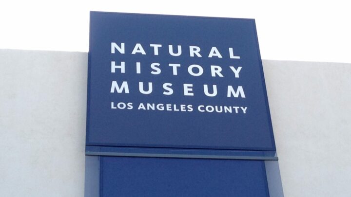 Take a Family Trip to Natural History Museum of Los Angeles for Nature in the Middle of LA