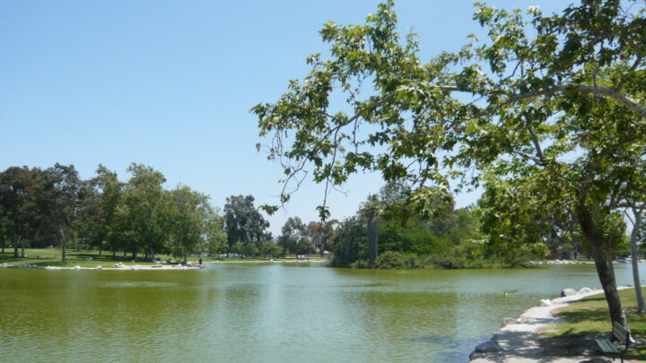 Archery Range at Mile Square Regional Park in Fountain Valley