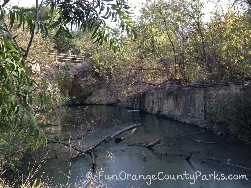 Santiago Oaks Regional Park dam from below