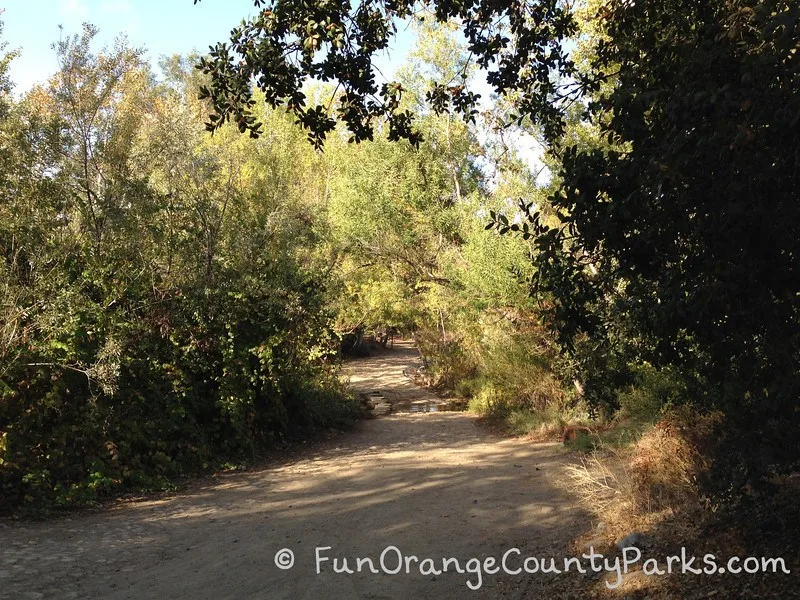 Santiago Oaks Regional Park trails