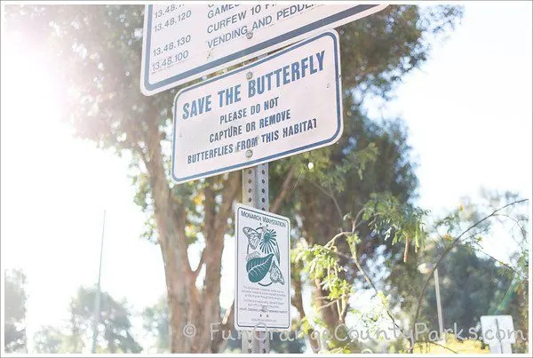White sign with blue text that says: Save the Butterfly (Please do not capture or remove butterflies from this habitat)