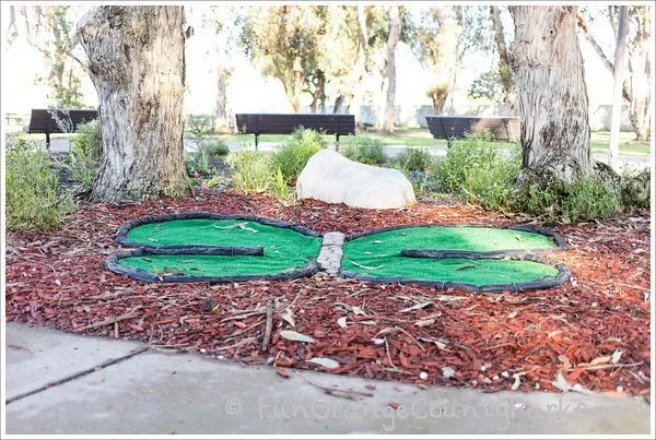 butterfly-shaped planter amidst tree trunks