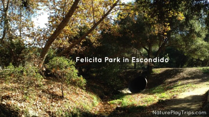 Felicita County Park in Escondido