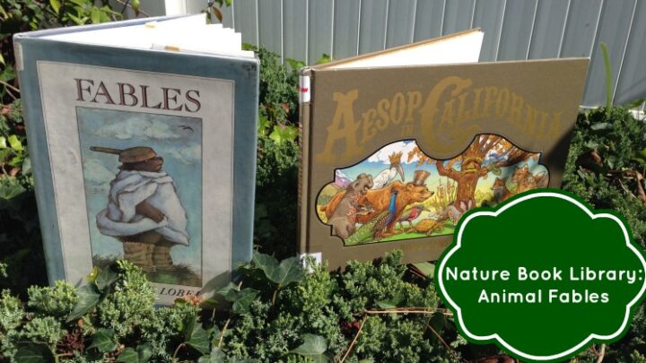 Nature Book Library: Animal Fables