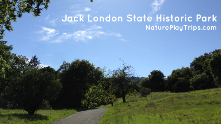 Family Road Trip: Jack London State Historic Park Hiking with Kids