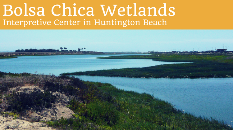 Bolsa Chica Wetlands Interpretive Center in Huntington Beach