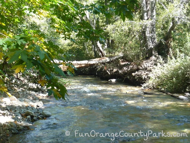 river at Big Sur State Park