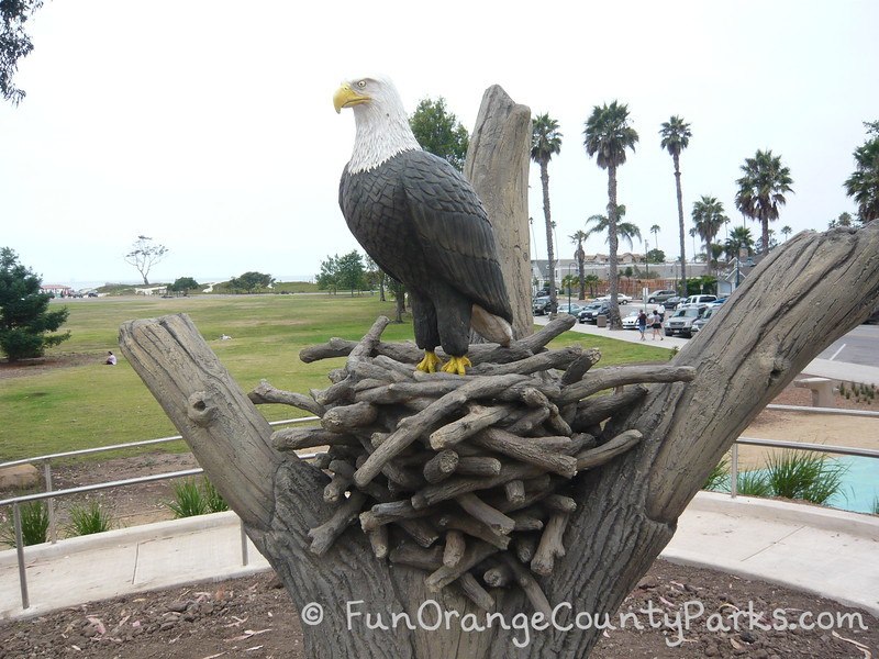 Carpinteria State Beach playground with an eagle nest