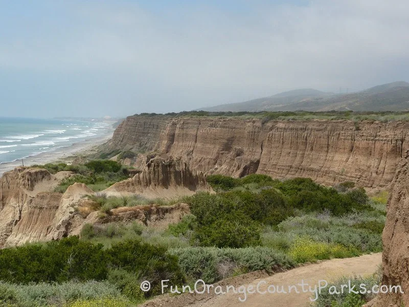 san onofre state beach bluffs with crashing waves