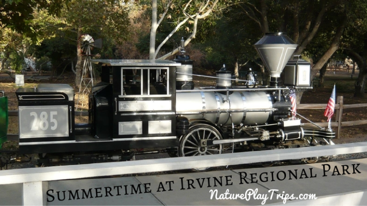6 Things to Do with Kids at Irvine Regional Park in the Summertime