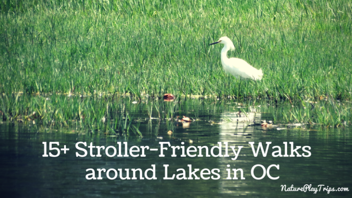 15+ Stroller-Friendly Walks around Lakes in OC