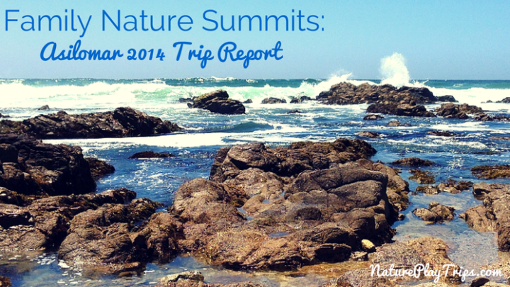 Trip Report: Family Nature Summits at Asilomar 2014