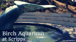 Birch Aquarium at Scripps for Seahorses and Leopard Sharks