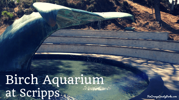 Birch Aquarium at Scripps in La Jolla (San Diego) - Birch Aquarium At Scripps FeatureD