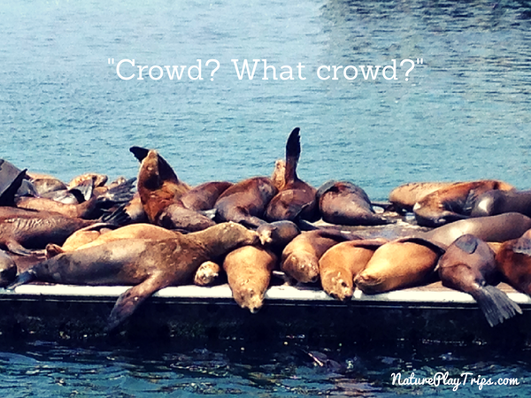 Crowds- What crowds-