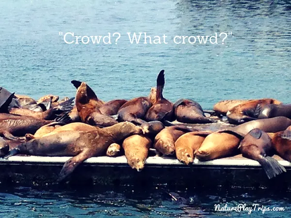 Crowds- What crowds-