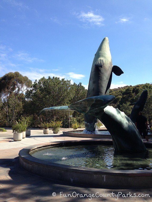 birch aquarium la jolla whale sculpture