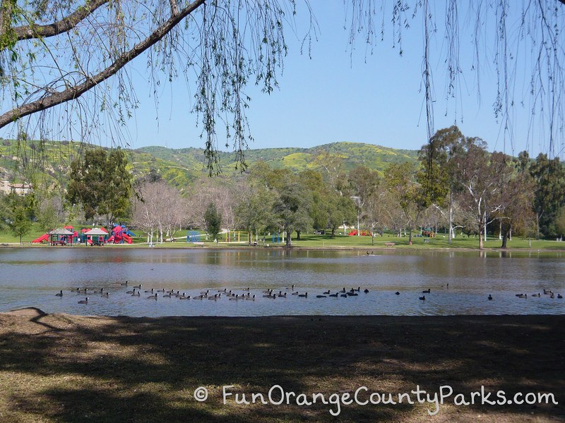 carbon canyon regional park in brea - view of playground from the lake