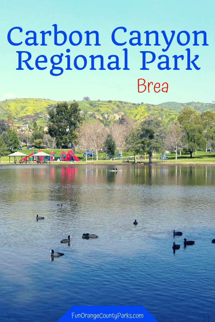 carbon canyon regional park brea pin