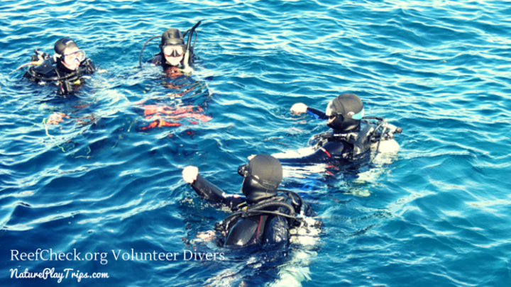 ReefCheck.org Volunteer Divers Monitor Underwater Parks