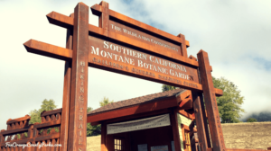 Montane Botanic Garden and Children’s Outdoor Discovery Center