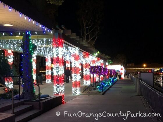 dana point harbor holiday lights view from outside the candy cane walkway