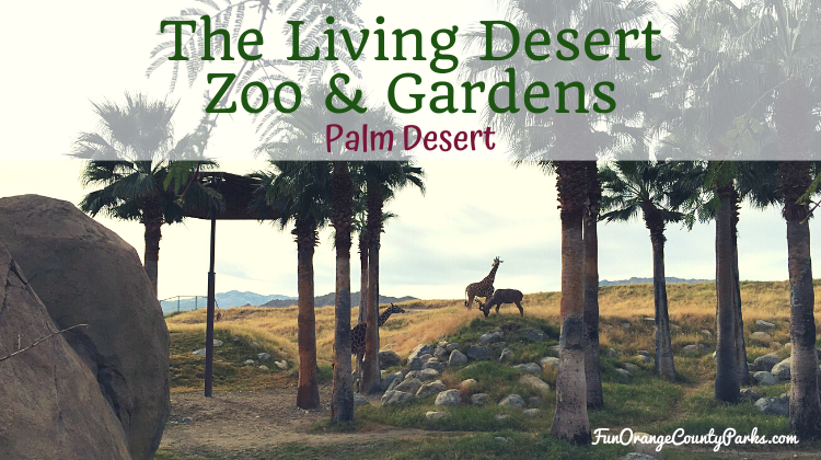 The Living Desert Zoo and Gardens Displays Sonoran Desert Life